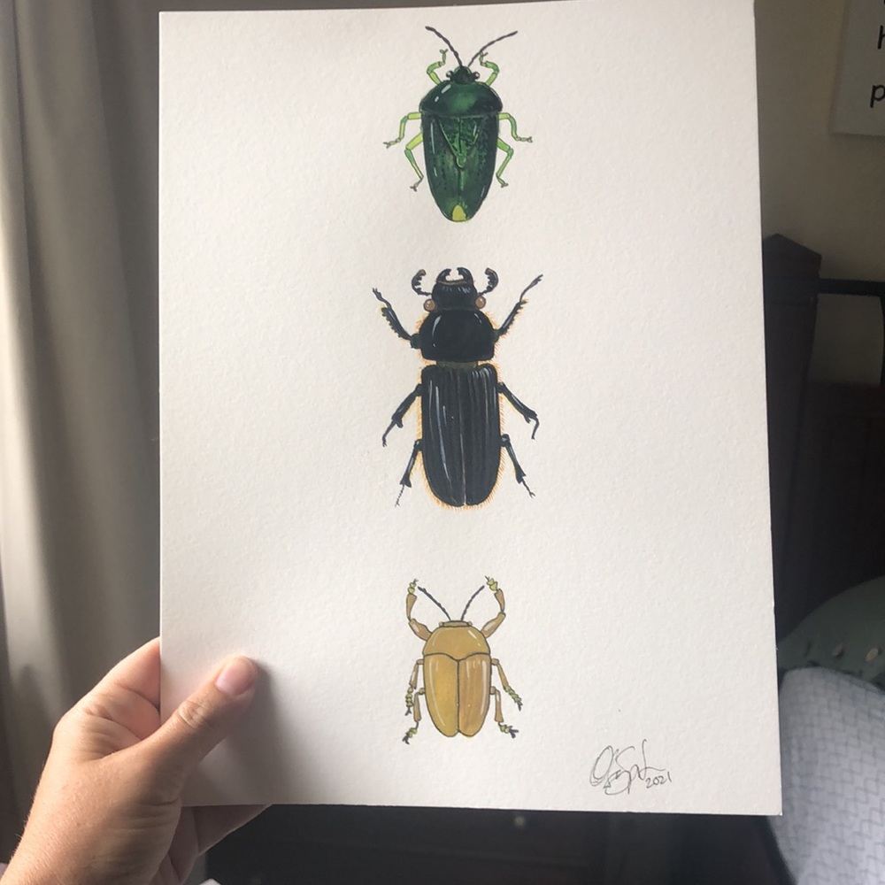Bug insect Watercolor Original Painting
